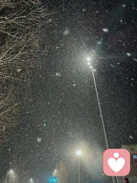 我这里下雪了，你那里呢？
大雪渐寒，岁暮清欢，愿你风雪知心，“阳”后安暖，万事顺意！
晚安啦！雪夜吉祥！配图