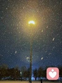 我这里下雪了，你那里呢？
大雪渐寒，岁暮清欢，愿你风雪知心，“阳”后安暖，万事顺意！
晚安啦！雪夜吉祥！配图