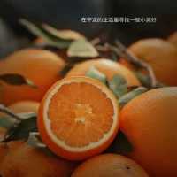 心無掛礙，日日皆是好日；
凡事隨緣，處處盡得歡喜。
早安！配圖