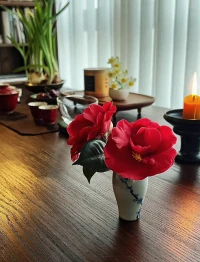 命，是一個(gè)人人生唯一的維度；
運(yùn)，是人在這個(gè)維度里與事物的共振。配圖