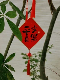 恭迎財神，廣結善緣，平安喜樂！配圖