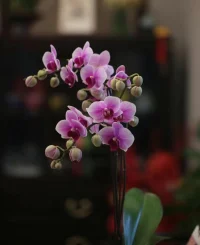 讀書、學(xué)習(xí)帶來的樂趣，可以治愈很多煩惱。不然怎么說，行動(dòng)是打敗焦慮最好的辦法呢！配圖