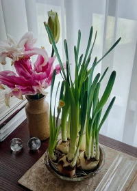 日子在綿長的平淡和重復中，與光陰溫柔對話，無言亦生暖，安靜且歡喜。???天氣漸漸回暖，陽光很好，開始一天的工作和學習，你想要的都藏在時光里……配圖