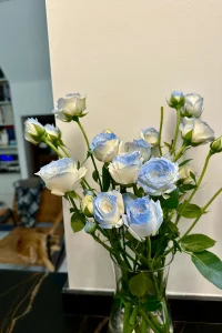 周末，早安！
如果你和某個人在一起，能讓你的情緒穩定，讓你敞開心扉，讓你更自信更愛笑，更有好奇心去探索這個世界，那這個人就值得你去愛。女孩們，那就好好談一場雙向奔赴的愛情吧……配圖