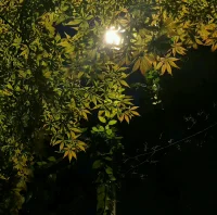 剛剛結束最后一個咨詢，又是忙碌而充實的一天，晚安！配圖