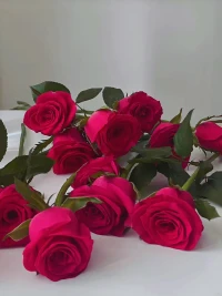 女孩們，希望你們可以悟到～～～
大多數(shù)女子，在人生的某個(gè)階段都會(huì)活得特別激烈和用力，貌似特別精彩，這樣的女子總是聰明多了幾分，智慧卻輸了一截。實(shí)際上，做一個(gè)聰明的笨女人，難度更大，這樣的女人懂得進(jìn)退，她們適度的獨(dú)立，隱藏的理性，含蓄的聰穎，溫和的才華，從來(lái)不炫耀，更不咄咄逼人。配圖