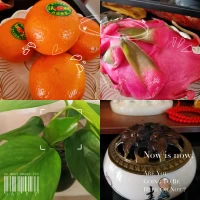 農歷二月十九，食素，愿眾生平安喜樂，心安，事順，家和，財旺?！！！配圖