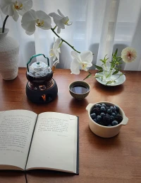 影響咨詢效果和咨詢療程有很多客觀因素，也有很多的主觀因素：比如求助動機、改變意愿、個人領悟能力、行動力……如果自己任性的地沉浸在過去的悲傷的情緒自艾自抑，要問自己想讓這樣的情緒籠罩自己多久呢？要在這樣循環往復的狀態里呆多久呢？成天嘴上喊痛，想改變，卻落實不到分毫行動上，何用之有呢？每個人都希望被理解、看見、接納、極致共情，可我們不能只依賴別人的共情而活，有時候你真的需要堅定的改變的決心！改變帶來的撕裂般的疼痛過后，“新肉”生長，那是重生！！！配圖