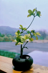 這兩天在網(wǎng)上看到一個(gè)話題：中年人的世界，還有愛情嗎？一定有，且更深沉！中年人的愛情，是一種于理解之上的懂得和尊重，是兩個(gè)靈魂在生活的風(fēng)風(fēng)雨雨洗禮中的攙扶而行。
到了一定年紀(jì)，你會(huì)發(fā)現(xiàn)，你需要的不僅僅是一個(gè)異性，而是一個(gè)可以溝通的靈魂，有著相同的愛憎、眼界，和格局，還有其他人不能給予的平靜和安心！配圖