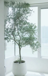 用一個極其微小而不同尋常的行動，去打破慣性和困局。
1、小小的改變卻有大大的不同。
2、繞過慣性的阻力，刻意培養(yǎng)微習(xí)慣，讓習(xí)慣決定了我們后面的人生怎么走。
3、不要太聚焦問題，先放下且讓自己先失衡一會．....．然后，先改變5%。
4、自己的處境再差也不要怕，只要邁開第一步，做一點點改變就好。
5．用新的行動帶來新經(jīng)驗，用新經(jīng)驗打破慣性，實現(xiàn)改變。配圖