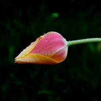 什么是感覺？印度哲人克里希那穆提的定義：感覺，就是“我”與其他事物建立關(guān)系那一剎那的產(chǎn)物。
視覺、聽覺、嗅覺、味覺、觸覺，這是五感是本體感覺。
第六感，是指超出五官感知的能力，心理學中常常把第六感和直覺并列在一起。
第七感，有兩種解釋，一種是指對相互連接的世界的感知力，比如銀行家看到數(shù)字思考怎么樣優(yōu)化金融交易，創(chuàng)業(yè)者看到一個現(xiàn)象，就想到商業(yè)解決方案等，這些對連接的想象力、判斷力和控制力，都是第七感；另一種解釋是說，第七感就是對時間的靈敏感覺，人的意識擁有基于過去的記憶，來模擬未來、分析未來的功能。
你的感覺時常如何？配圖