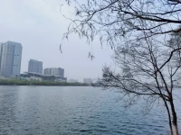 河畔的花，開得格外美～配圖