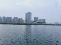 河畔的花，開得格外美～配圖