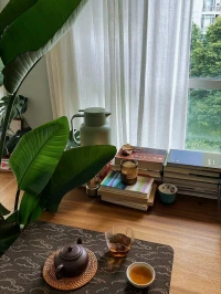 今日咨詢的感悟：
如果越成長越焦慮，成長的意義又在哪呢？
?我想，所謂成長，只有以自我真實感覺為導向時，才是適合的。在有愛、有自由的環境里，活出真實、完整的自己，是最好的成長。
這種成長要好過于，不斷追逐被欲望所扭曲的目標和落入可怕的精神內耗、自我想象式的成長。
?允許一切如是，是最美好的存在！！！配圖