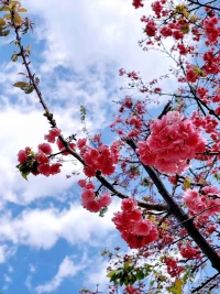 當(dāng)你走上了不一樣的道路，才有可能看到和別人不一樣的風(fēng)景 。早啊！新的一周開始了！配圖
