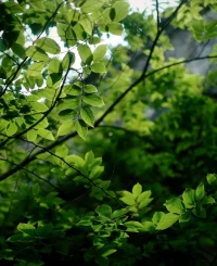 達芬奇也有一句精煉的名言：“知與愛成正比”。

我想，此處的知，并不是指知識，信息，脫離體驗的抽象的總結，這里的知，指向的是懂得，是化學反應級別的體驗。這意味著，無論我在頭腦、思維層面上對一個人有多了解，哪怕了解到在他產生情緒時，是大腦里的哪幾萬個神經元在發生作用，可是我沒有動用情感，沒有和他在內在感受上有鏈接，這種知，也僅僅只是知道，并不是懂得。在親密關系中，懂得，太彌足珍貴！配圖