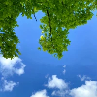 當新鮮感被熟悉感碾壓，兩人的關系之間間便被厭煩和疲倦充斥著。多數關系，走到熟悉時，就走到了死胡同，因為彼此仿佛都已看透。

所以，愛的本質是不斷發展自身的全部個性，形成創造性的人格傾向，如果我們具備這樣的能力，就意味著，我們將不斷向內解鎖自己的各個面向，釋放創造力，帶來持續的改變。如果我們能夠像一本讀不完的書，總有新注解，新篇章，兩個人的關系便能不斷體驗到穿越障礙的奇跡感。

倘若我們內心中尚未解鎖，那么前來探索的人，也便無路可走，無關可通。配圖