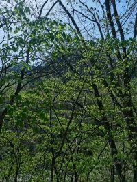 人生，只要在路上，哪怕另辟蹊徑，也有別樣風景～配圖