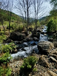 人生，只要在路上，哪怕另辟蹊徑，也有別樣風景～配圖