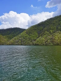 人生，只要在路上，哪怕另辟蹊徑，也有別樣風景～配圖