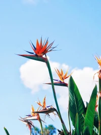 重復(fù)，重復(fù)，再重復(fù)，任何一個習(xí)慣，都是這樣形成的。重復(fù)，重復(fù)，再重復(fù)，才能給自己重建一種全新的習(xí)慣。

如果一個人能幫助自己形成：每天冥想和運動的習(xí)慣，你已經(jīng)可以解決人生一半以上的問題。

在此基礎(chǔ)上，如果還能把一件自己喜歡做的事，通過保持終身的學(xué)習(xí)，來讓自己越做越好。
你已經(jīng)可以解決剩下一半的人生問題。配圖