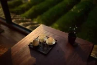 來訪者問我：“老師，如何看待任性？”
答曰：任性若只是拿來對待自己，又還能毫不聲張的獨(dú)自去承擔(dān)后果，這樣的任性不失為一件特別好的東西。配圖