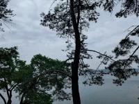 心理平衡，可謂中國人獨創的心理學術語。
在西方心理學與心理咨詢的詞匯當中其實并沒有此術語。
心理平衡，就是指人們用升華、幽默、外化、合理化等手段來調節對某一事物得失的認知。中國人之所以用心理平衡一詞來形容這一心理調節過程，大概可以歸結到我們思維中的陰陽對立、福禍轉換的“文化基因”上。千百年來，中國人在看待個人的榮辱得失時。深受老莊之道家思想的影響。故很講究內心的平衡之道，所以中國人用心理平衡，以此形容自我的心理調節，絕非偶然，而且十分貼切。
其實，心理學中常用的內傾、外傾的概念，就是心理學家榮格在讀了老子的道德經之后創造的，其中即含有陰陽平衡之一。配圖