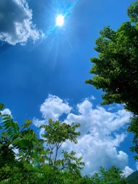 歐文.亞隆說道：“真正的絕望是一種迫使我們面對自己命運的情緒，而絕望往往是我們最偉大成就的必要前兆。

如果苦難無法避開，那就一定在自己的世界里盛開出花朵。配圖