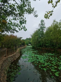 信仰是有溫度的，
心懷生活的信仰，
才不至于在失落中失了方向，
也不會(huì)因沮喪，讓心靈生了雜草。配圖