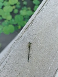 信仰是有溫度的，
心懷生活的信仰，
才不至于在失落中失了方向，
也不會(huì)因沮喪，讓心靈生了雜草。配圖