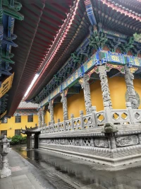“自我”越重的人，越是以自我為中心的人，所承受的人生挫折也就越多。這并不意味著他遭受到的挫折就真的很多，而是被他的“自我”認定為“這是人生挫折”的事情會有很多，僅僅是人的挫折感，會有很多。

所以，“挫折”因人而異，既不是好事，也非壞事，有人因挫折而認識到自我，也有人因挫折而失去自我；有人因挫折而變得麻木，也有人越挫越勇。配圖