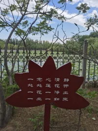 改變命運的一部分是去重建自己人生中的各種因果關系，用行動去改變“因”，去創造“因”。早安，新的一天，積極地在“因”地上去努力！配圖