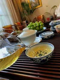 強迫性重復
來訪者在人際關系、親密關系互動中無法自拔，可能是因為她在重復過去的經驗和模式。
精神分析認為，人們往往會不自覺地重復過去的情境和關系模式，尤其是那些讓人感到困擾和痛苦的模式。
針對這些問題，精神分析可能會采用深度探索的方式，幫助來訪者回溯過去的經驗，理解和解構自己的防御機制和重復模式，從而實現自我變革。同時，咨詢師也會引導來訪者面對和接納自我理想與自我實像的差距，以及重新審視和構建自己的價值觀。配圖