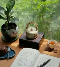 一個半小時的督導課程，整理筆記用了兩個小時，總結寫了三千多字，其中信息量滿滿，每個點都值得深挖展開。可見心理咨詢要做好，功力絕非一招一夕養(yǎng)成，但喜歡這種探索的感覺，樂在其中！配圖