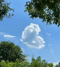 生活是晨起暮落，日子平淡與真實。帶著期待與熱愛，過好這煙火人間的每一天～早安配圖