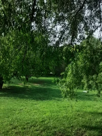 真正的勇敢，是你能直面生活帶給你的任何境遇，并不擾于心，活好當下每一刻！
晨起鍛煉一小時[拳頭]所有你內在的品質，皆源于你的自律與堅持！新的一天，繼續向前！配圖