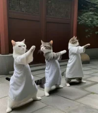 一个人格上面不是太独立的人，他们会对自己的边界被侵犯过度地敏感。他们整个人格还没有足够独立，所以稍微的侵犯就可能让他们人格崩溃，所以他们就表现出过度独立的样子。我的青春我做主，我的人生我做主。实际上，越是强调这样的人，他在内心里面对他人就有更多的依赖。这其实都是反向形成，也是青春期孩子假性独立状态非常明显的特点。

而真正独立的健康人格，是那种无可无不可的状态，意思就是你这样也可以，那样也可以，都不足以攻击到我的独立性和我的边界，因为我的人格真正的足够的强大。配图