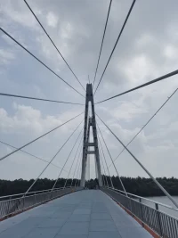 当用头脑的思考创造不了我们的生命活力时，就是一个反馈，去连接场域中更伟大的存在吧。


连接场域中伟大的存在，感受它在身体的感觉，从这一个身体的中心进入世界，这是我们一生的练习。配图