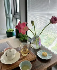 人的一生中有兩個重要的年齡認同階段，青春期和更年期。青春期的主要沖突之一，獨立和依賴，也就是要獨立不獨立，要分化不分化。更年期的主要沖突是身體的機能，內分泌的變化告訴人們留下的生命不多了，可能會導致極大的內心的震蕩。青春期性的覺醒帶來了慌張，更年期性的下降帶來的落寞。配圖
