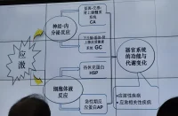 創(chuàng)傷分為：創(chuàng)傷 I 型、創(chuàng)傷 II 型

創(chuàng)傷 I 型：
偶發(fā)的創(chuàng)傷事件
非充分的功能反應(yīng)
在成年期發(fā)生
具有 PTSD 的癥狀特點(diǎn)

創(chuàng)傷 II 型
重復(fù)的嚴(yán)重的創(chuàng)傷過程
在兒童期發(fā)生
尚處于心理發(fā)展過程當(dāng)中
復(fù)雜型 PTSD配圖