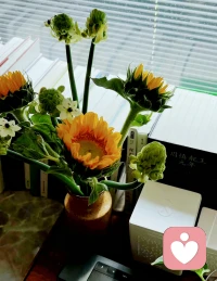 长大成人的根本，不是妥协，而是智慧与平衡：既接纳人生不可避免的艰难，又不放弃把它变得更好的努力。也就是说，既要直面永远得不到你想要的世界的事实，但又绝不放弃心中想要的世界。配图