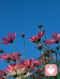 生命，是由一個又一個無法替代的日子積累而成，學會對日常生活中的每一件小事都心存感激，活好每一個當下。周末愉快！配圖