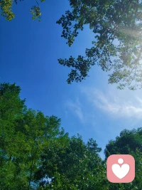 時(shí)光匆匆，轉(zhuǎn)眼又是一年中秋，愿所有努力生活的人，花好月圓，心中夢圓，好事連連！配圖