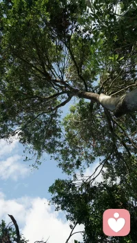 一個人想要真正成長。必須在洞悉自己并坦然接受的同時，又有所追求。配圖