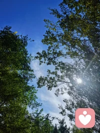 人格不獨立的人是沒有底線的。因為他依賴權威才能活下去，滿足權威的需要才是他的底線，是他活下去的必要條件。
而太把自己當成權威的人，人格兒也可能是弱小和殘缺的。他需要扮演強大和完整。他人過度理想化的反饋可以穩定他的夸大的自我意象。權威和服從者之間存在著幾近“狼狽為奸”的關系。在有獨立人格的外人看來，他們其實都很可憐，因為他們活得很不真實。配圖