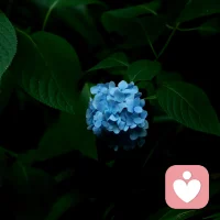 人的最高情商不是心機(jī)，
而是替別人著想的善意。
不要讓這個(gè)世界變得彼此不容，
充滿戾氣，相互豪橫。  ???配圖