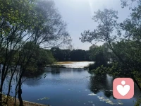 理解是對他人最大的善舉。當(dāng)你坐在一個(gè)人面前，聽他開口說話，看得到各種復(fù)雜、精密的境況和命運(yùn)，如何最終雕刻出這樣的性格、思想、做法、長相，這才是理解。而有了這樣的眼睛，你才算真正“看見”那個(gè)人，也才會發(fā)覺，這世界最美的風(fēng)景，是一個(gè)個(gè)活出各自模樣和體系的人。配圖