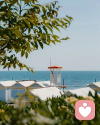 傷痛之外，還有不同的資源，眼淚之外還有不同的人生。把鮮活的世界帶到當下，生命是偉大的，充滿靈性的舞蹈，這就是生命本來的樣子。療愈的第一步就是置身當下的鮮活世界。
人性的善意可以療愈任何傷痛，不一定不需要有為的任何結果。配圖