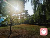 今日咨詢(xún)感悟與分享：
  在我們的生命里，經(jīng)歷過(guò)的某些傷痛，是不需要去掉的，而且也沒(méi)辦法去掉，那不如給它一席溫暖之地，把它安放好！隨著生命的發(fā)展，隨著每一天的成長(zhǎng)，有一天我們領(lǐng)悟到了一些不同的東西，就把這個(gè)禮物帶給它。

里爾克曾說(shuō)：“你要先帶著問(wèn)題去生活，不知不覺(jué)地生活會(huì)逐漸地，越來(lái)越接近你要的答案。”

我的愛(ài)人經(jīng)常會(huì)說(shuō)，遇到解決不了的問(wèn)題，不妨靜靜的耐一下，拿時(shí)間換空間。


其實(shí)，就像有些身體疾病一樣，不能一級(jí)治療只能二級(jí)治療，帶著一部分癥狀而活，與之共存，就像我的母親，腫瘤二級(jí)切除至今十四年，非常健康的生活著！

生命的意義本身就在于探尋，過(guò)程即答案，會(huì)有不同的風(fēng)景，不妨允許一切如是發(fā)生，又能怎樣呢？配圖