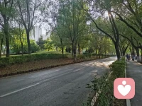 完美的父母會制造有問題的孩子。完美主義者的本質是人格弱小，絲毫不能承受不完美或者說某種缺憾帶來的屈辱感，這種屈辱感會投射給孩子。
完美的父母還會遏制孩子的創造力。父母親的缺點是孩子創造力的來源，創造力是在幻想層面彌補父母親的不完美。如果父母親完美了，就不需要創造了。面對完美的父母親，創造力就是攻擊。
天陷東南，天高西北。天地尚無完體，60分的父母是孩子健康成長的最佳環境。配圖